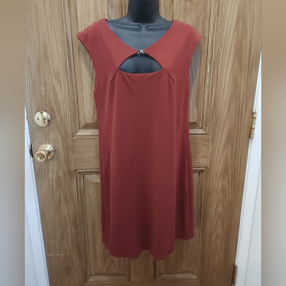 Max Studio Rust Cutout Mini Dress